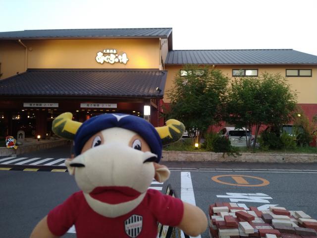 1633170650600008732.jpeg 99.jpeg